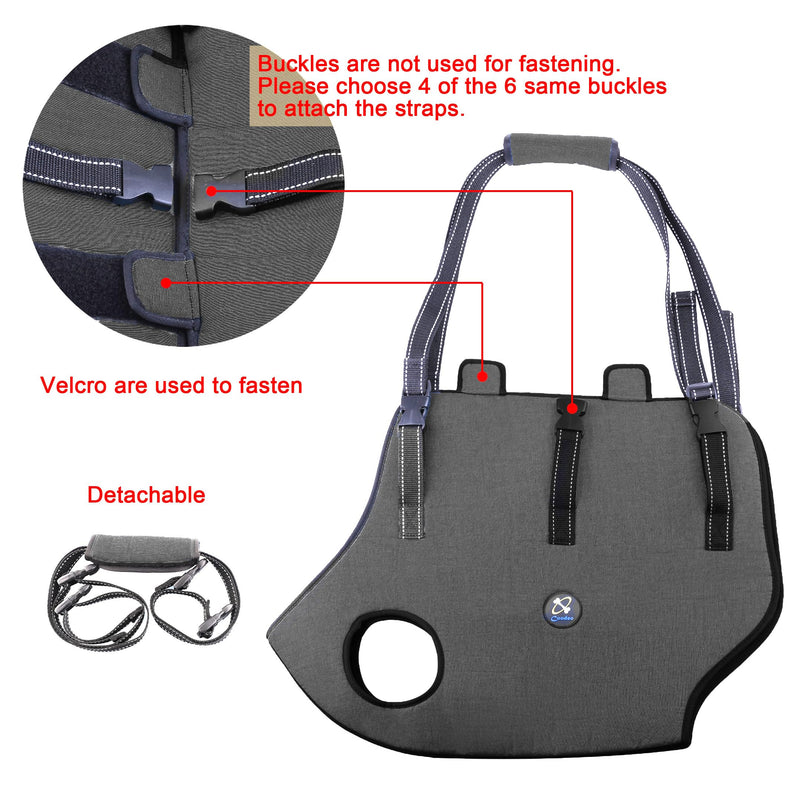 Coodeo Dog Lift Harness, Pet Support & Rehabilitation Sling Lift Adjustable Padded Breathable Straps for Old, Disabled, Joint Injuries, Arthritis, Loss of Stability Dogs Walk (Grey, M) Medium Grey - BeesActive Australia