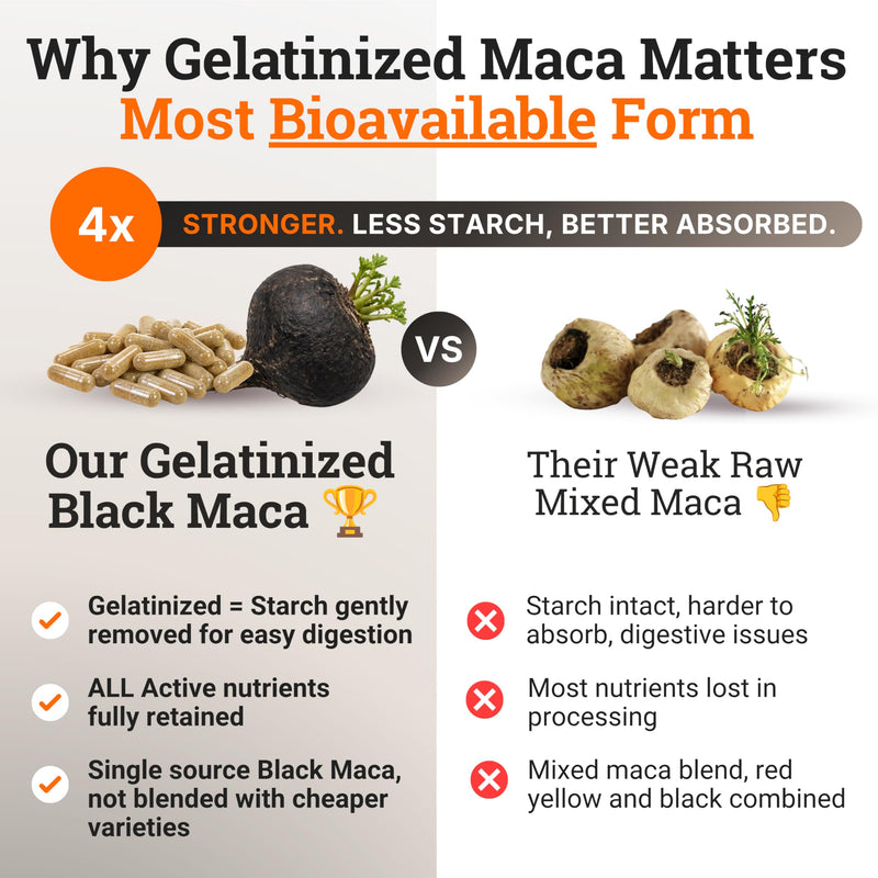 Organic Gelatinized Black Maca Root for Men & Woman 200 Capsules, 2 pack | 4x Bioavailability - Energy Supplement for Focus, Performance, Stamina & Endurance, Mood Booster, Hormone Balance, Peruvian 200 Count (Pack of 2)