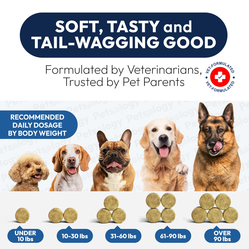 Omega 3 for Dogs - 250 Fish Oil Chews for Dog Shedding, Allergy & Itch Relief, Hot Spot Treatment - Advanced Skin & Coat Supplement - Joint Health - EPA & DHA Fatty Acids - Salmon Oil & Probiotics 250 Chews