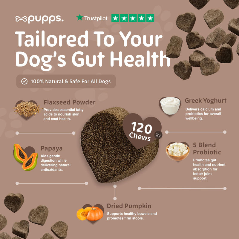 Pupps Pre & Probiotic Dog Treats – 120 Gut Health Chews | 4.5 Billion CFUs with Pumpkin & Digestive Enzymes | For Sensitive Stomachs, Digestion & Immunity | Duck Flavour | Vet Approved, UK Made 120 x Chews