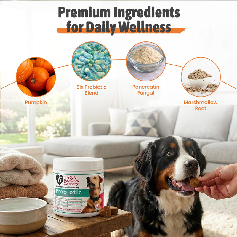 Probiotic Soft Chews for Dogs – Digestive Support with 6 Probiotic Strains, Pumpkin & Digestive Enzymes – Supports Gut Health, Regular Stools & Less Gas – Chicken Flavor – 120 Chews – Made in USA