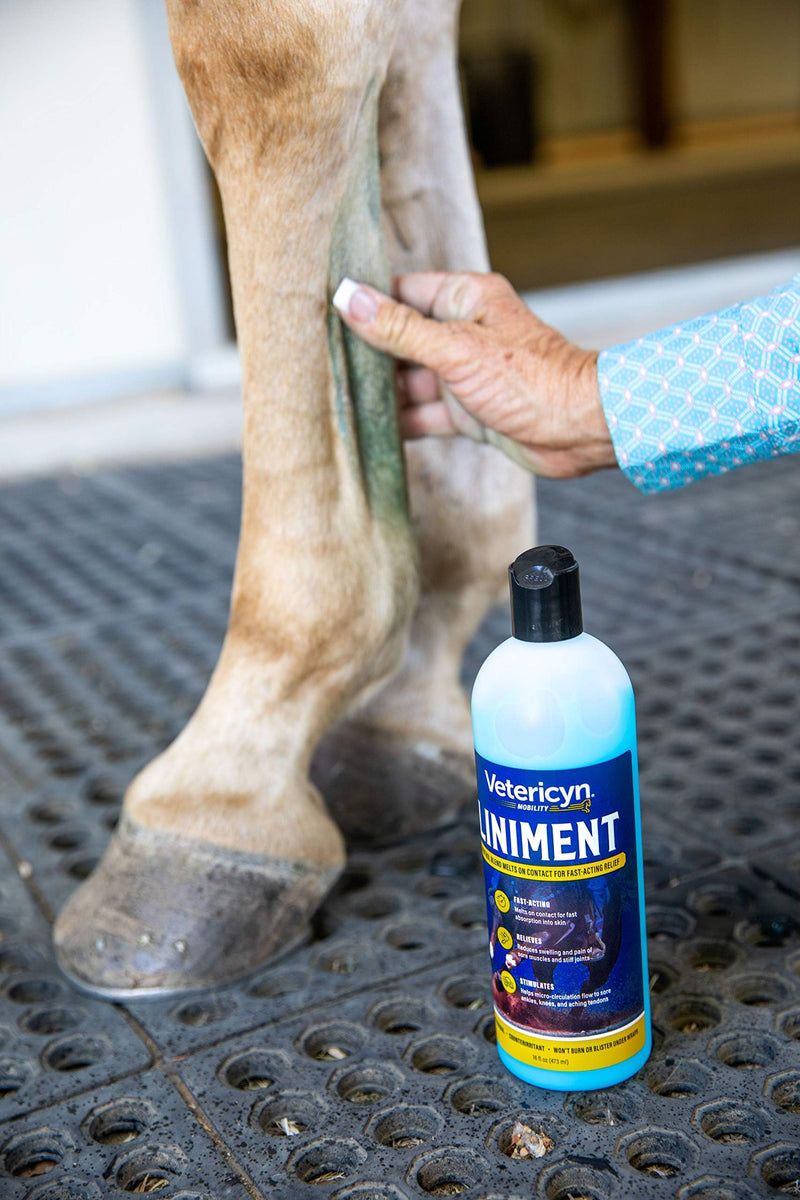 Vetericyn Equine Liniment for Fast-Acting Relief of Muscles and Joints – Menthol-Based Topical Analgesic for Horses – 16 Ounces,Blue 16 Ounce - BeesActive Australia