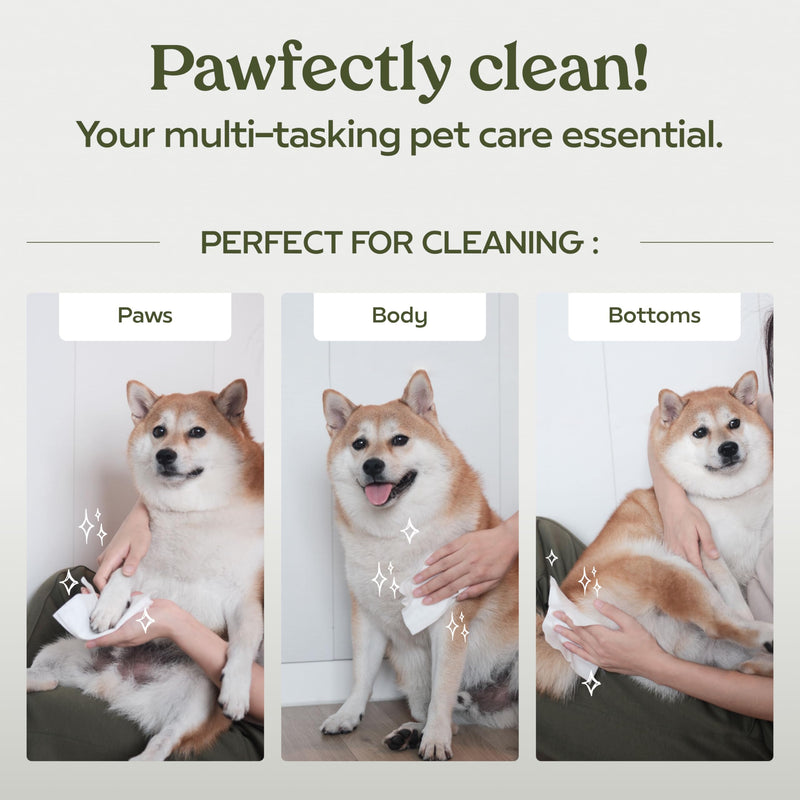 Pawfume Dog Wipes 100 Count, Pet Wipes – Hypoallergenic & Gentle Dog Wipes for Eyes, Face, Butt, and Paws – Cleaning & Deodorizing, Grooming Tear Stain Wipes for Puppy, Adult Dogs & Cats Pack of 1 - BeesActive Australia