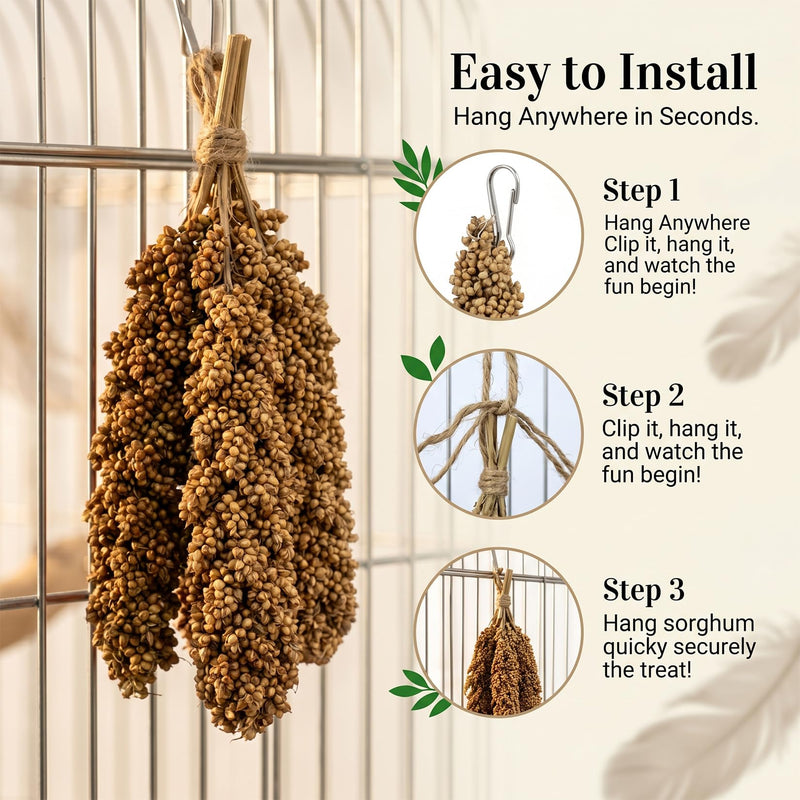 Sukh Millet Spray for Birds - 5 Stems Natural Red Sorghum, 30cm Healthy Parakeet & Parrot Treats, Ideal for Cockatiels, Budgies, Hamsters & More