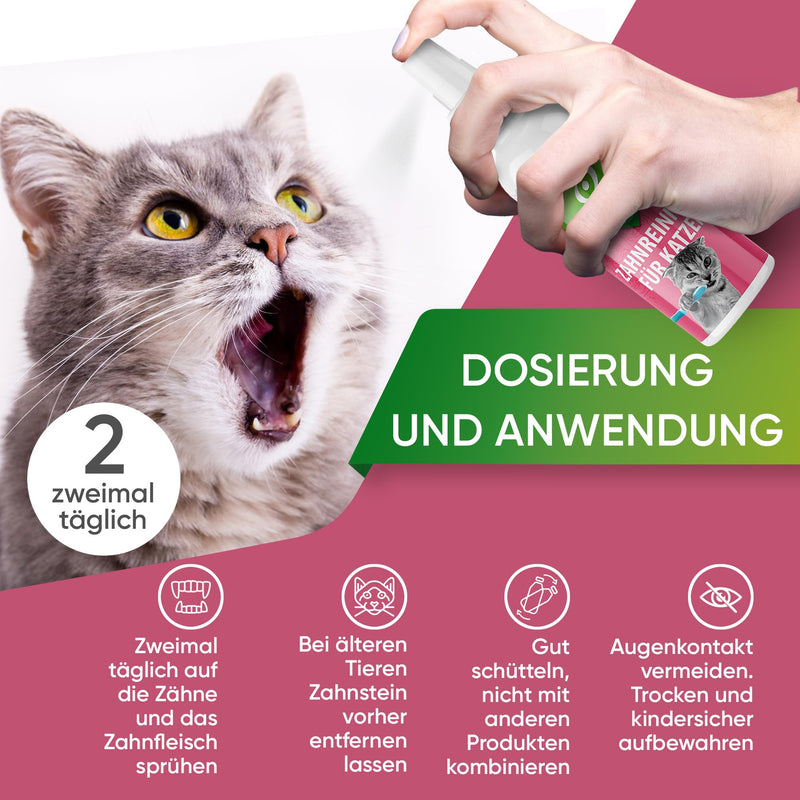 Baviette cat care set: (300-fold) probiotic plaque for teeth cleaning for cats - optimal oral care, dental care, effective against bad breath and tartar, odor-free (oral care) oral care 100ml - BeesActive Australia