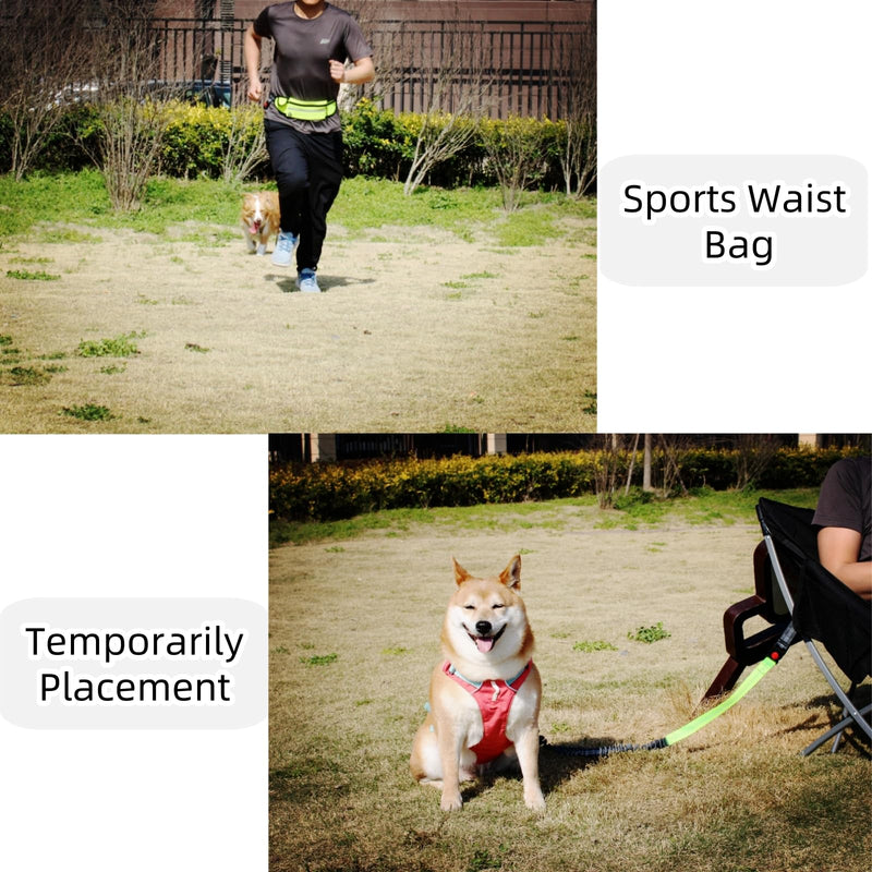FJ Four Joys Hands Free Dog Leash with Zipper Pouch, Waist Leash for Dog Walking with Shock Absorbing Bungee for Walking, Jogging and Running (Yellow-Green) Yellow-green - BeesActive Australia
