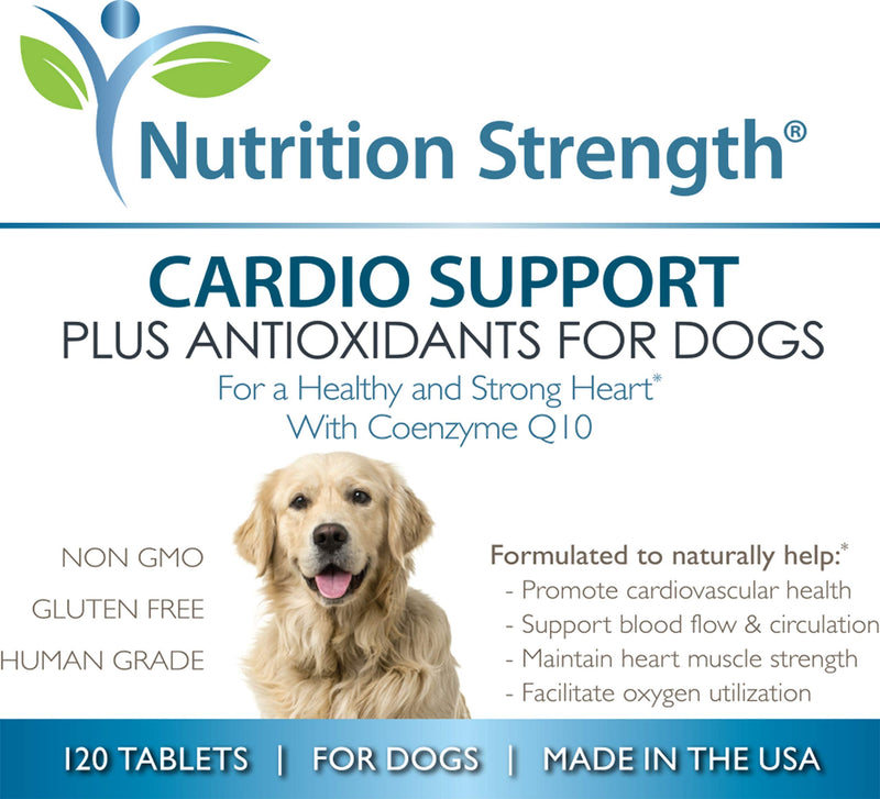 Cardio Support for Dogs Plus Antioxidant, L-Carnitine, L-Taurine, with Coenzyme Q10 and Vitamin E, Promotes a Healthy and Strong Dog Heart, 120 Chewable Tablets - BeesActive Australia