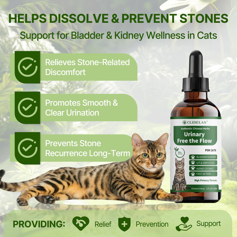 Cat Bladder Treatment for Stones & Crystals, Kidney Stones Dissolver for Cat - Urinary Tract Infection Treatment for Kidney and Bladder Stones, Herbal CatUTI Remedy for Stone Relief & Prevention