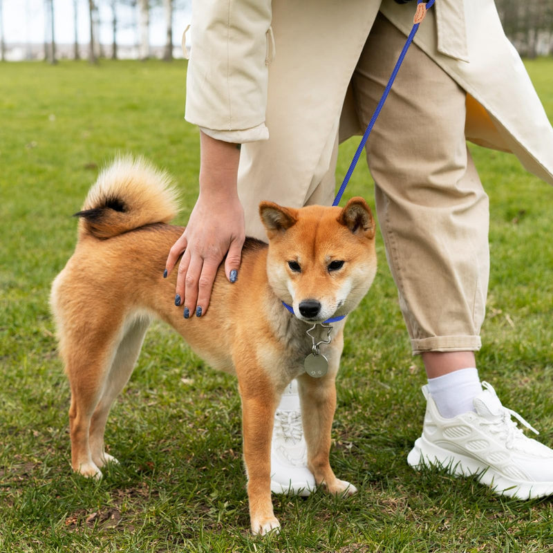 5 Ft Slip Leads Puppy Dog Leash for Small Dogs, Slip Leash for Puppy Training, No Pull Control Leash for Small Dogs Pet Leash Rope for Small Medium Large Dogs, No Pull Dog Training Leads - BeesActive Australia