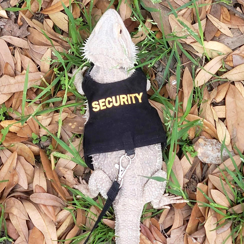 CoguZed Bearded Dragon Harness and Leash Set, Escape Proof Adjustable Lizard Leash and Reptile Harness for Walking, Cute Outfits for Bearded Dragon Costumes - BeesActive Australia