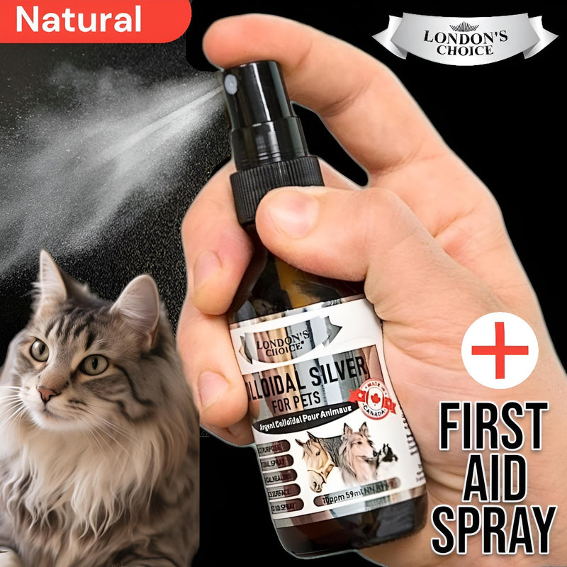 Colloidal Silver for Dogs: 2oz (59ml) Multi-Purpose Silver Spray - Optimal for Dog Wound Care, Cat Acne, and Oral Health, Essential Skin Care Spray for Pet First Aid Kits Small - BeesActive Australia