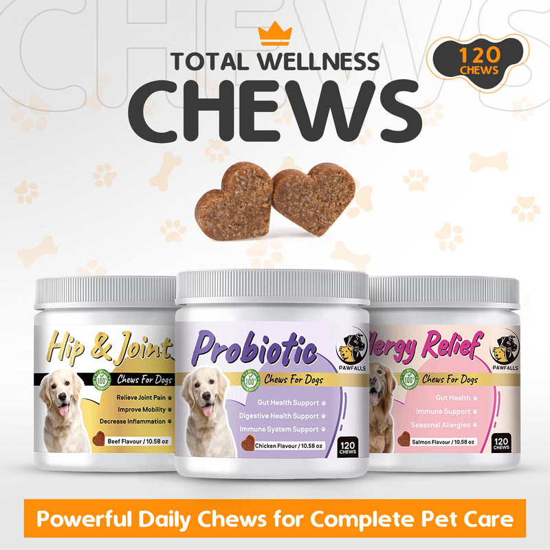 Allergy Relief Chews for Dogs – Itchy Skin, Hot Spots & Seasonal Allergy Support – Anti-Itch Supplement with Omega-3, Quercetin & Probiotics – Salmon Flavor – 120 Soft Chews