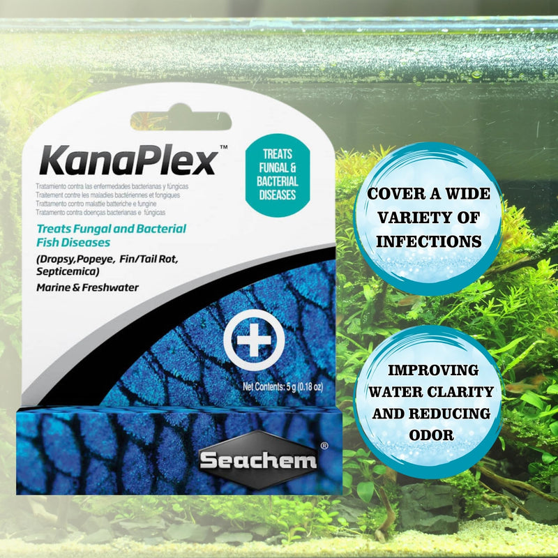 Trinity Treat ParaGuard 100ML, GarlicGuard 100ML, Focus 5g, kanaplex 5g Metroplex 5g for Freshwater and Saltwater Including Microfiber Cleaning Cloth(ParaGuard, GarlicGuard, Kanaplex Focus Metroplex) - BeesActive Australia