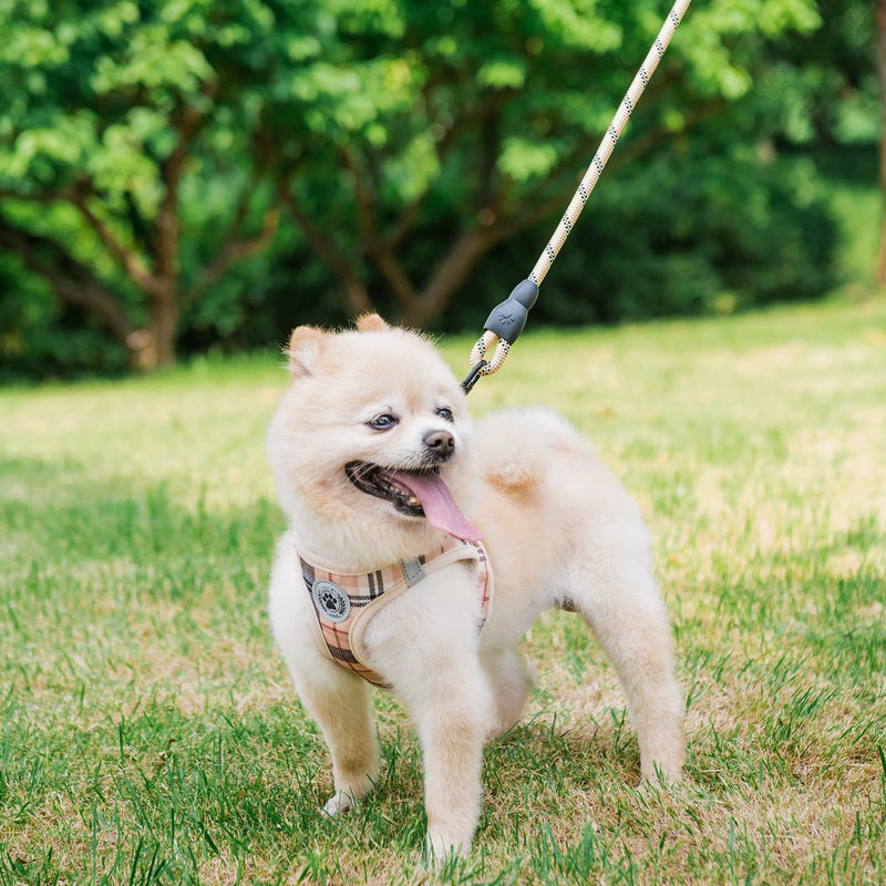BEAUTYZOO Small Plaid Dog Harness and Leash Set for XS S Pets, Step in No Chock No Pull Soft Mesh Dog Vest Harnesses Reflective for Extra-Small/Small Medium Puppy Dogs and Cats, Beige S Small(Chest Girth 14.5" - 16") - BeesActive Australia