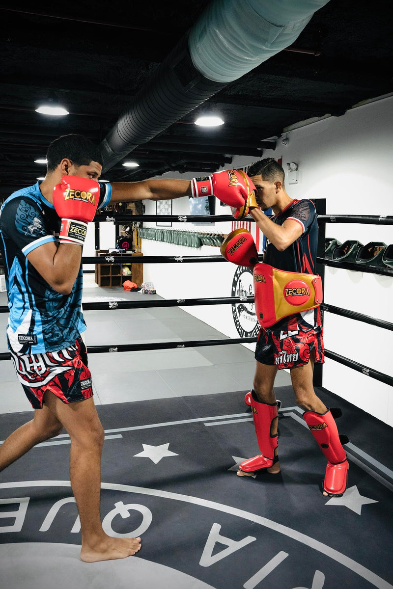 Boxing Pads Curved Focus Mitts, Microfiber Leather, Hook and jab Training Pads, Adjustable Strap Ventilated, MMA Muay Thai Kickboxing Coaching Gear Martial Arts