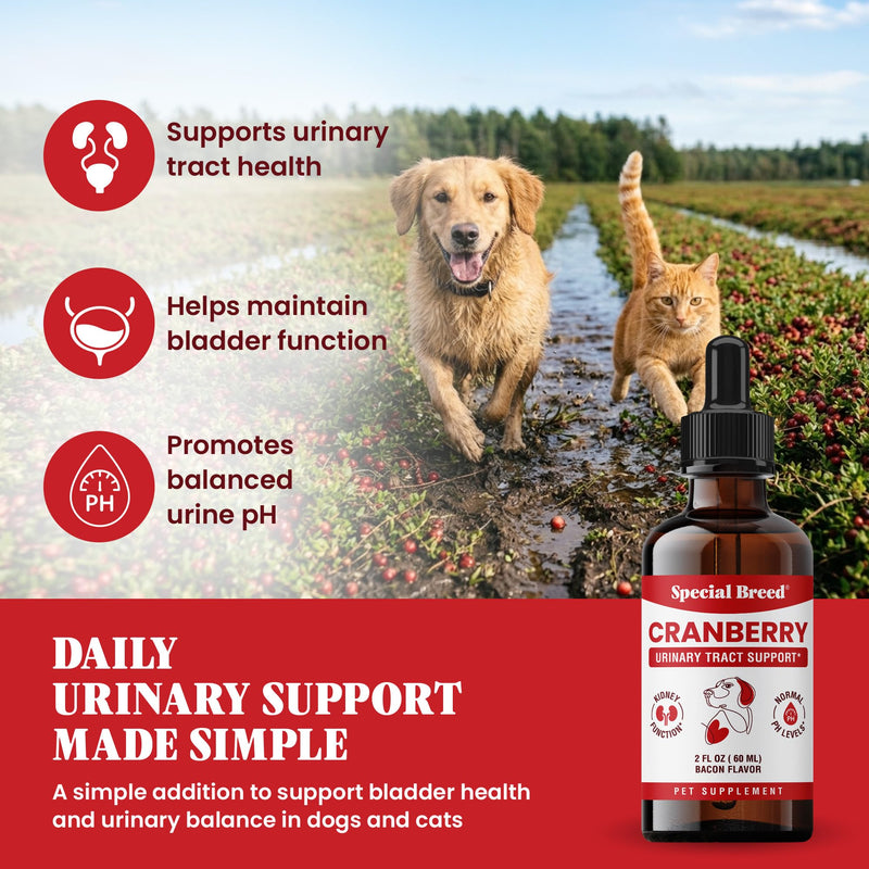 Cranberry Supplement for Dogs - Cranberry Extract for Dogs - Urinary Tract and Bladder Support - Kidney and Urine pH Support - Liquid Drops for Dogs and Cats - Bacon Flavor - 2 oz