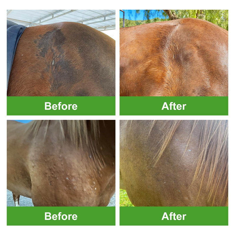 Daily Preventative Powder for Horses - Coat & Skin Care for Horses, Soothes Sweet Itch and Eliminate Odors- 8oz Horse Dry Shampoo 8 oz - BeesActive Australia
