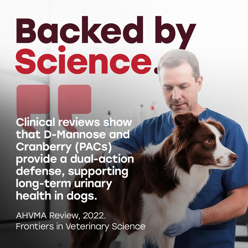 Urinary Tract Supplement for Dogs – Cranberry & Bladder Support