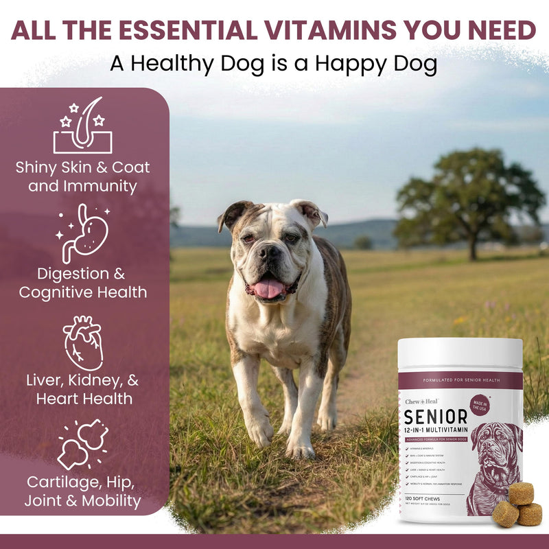 12-in-1 Multivitamin for Senior Dogs - 60 Senior Dog Vitamin and Supplement Soft Chews for Hip and Joint - Advanced Formula with Glucosamine, Omega 3,6,9, Vitamins, Probiotics - Made in the USA 60 Count