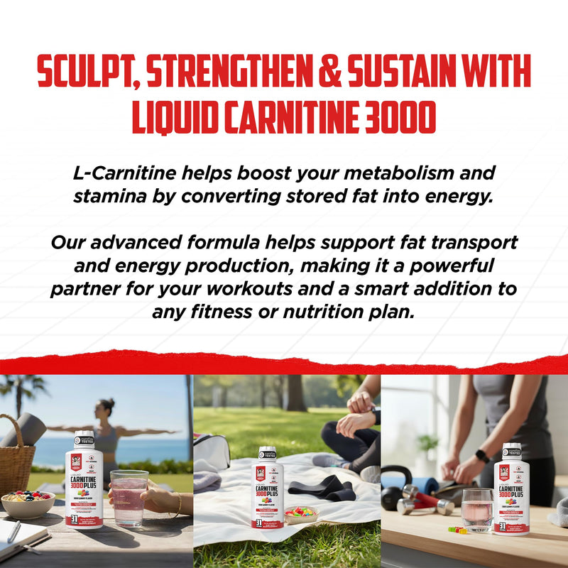 Old School Labs 4-in-1 Liquid L-Carnitine 3000 Plus for Energy & Metabolism | Fast Absorbing L Carnitine Supplement with Acetyl L-Carnitine, L-Tartrate, ProGBB® & Vitamin B for Energy & Metabolism, 16oz 31 Fl Oz (Pack of 1)