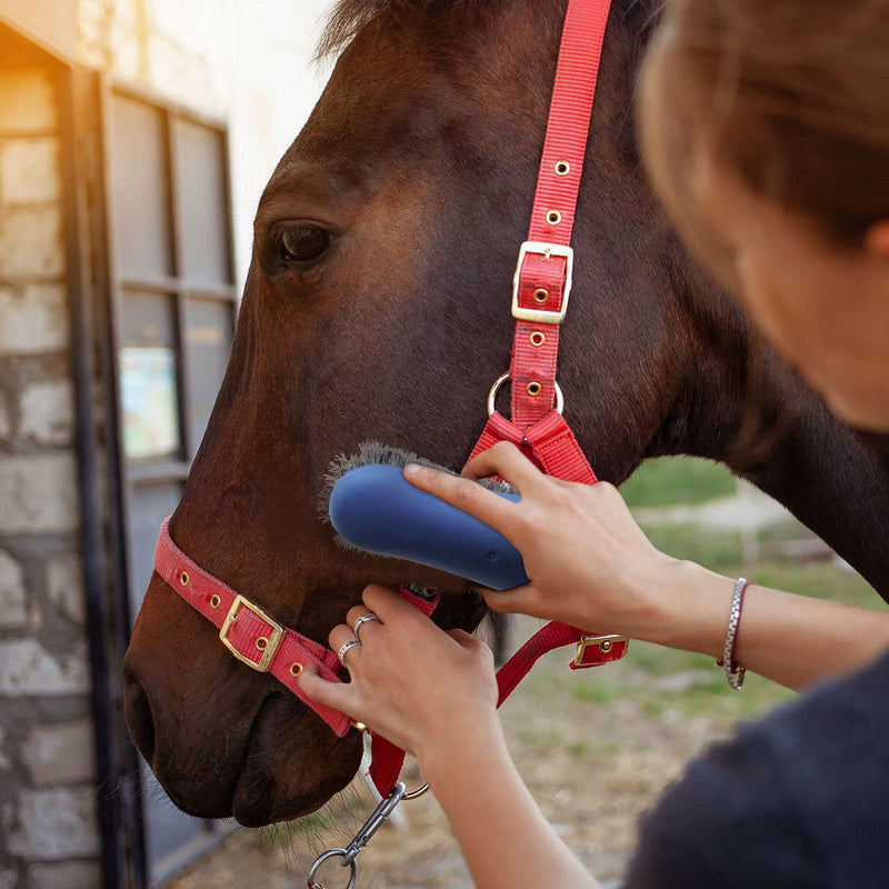 Harrison Howard ShineWell 3PCS Horse Grooming Brushes Ergonomic Shaping Gentle Comfortable Rubber Curry Horse Brush - BeesActive Australia