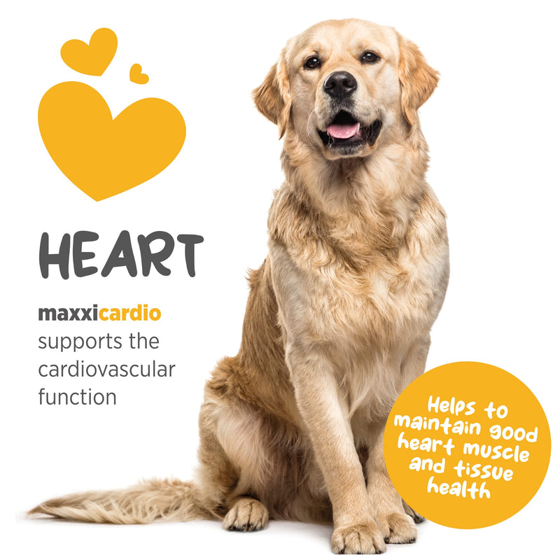 maxxipaws - maxxicardio Heart Support for Dogs (Small Size) – Taurine + L-Carnitine + Hawthorn + Ginkgo – Helps Support Circulation, Energy & Stamina – Easy Mix Powder – Made in USA – 3.2 oz