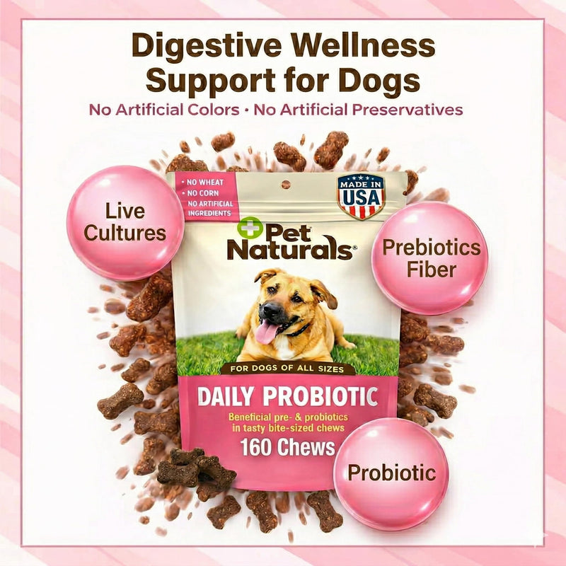 Pet Naturals Probiotics for Dogs – 320 Soft Chews, Digestive & Gut Health Dog Support with 120M CFUs + Prebiotics, Immune Support for Occasional Upset Dog Stomach, Duck Flavor, All Breeds