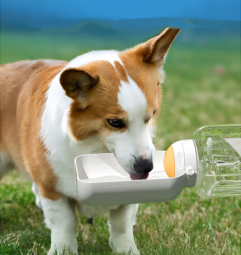 33-50oz Resin Portable Dog Water Bottle with Folded Water Bowl for Large Dogs, Large Capacity and Leak-Proof with Shoulder Strap. Essential for Dog Hiking, Camping, Walking. (Yellow, 50oz) Yellow - BeesActive Australia