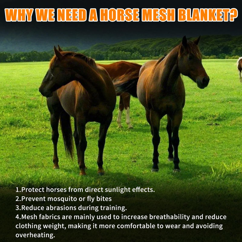 Horse Fly Sheet Breathable, Micro Mosquito Mesh with Adjustable Straps, Lightweight Nylon Equine Sheet, Prevent Fly Bites (70”-72”)