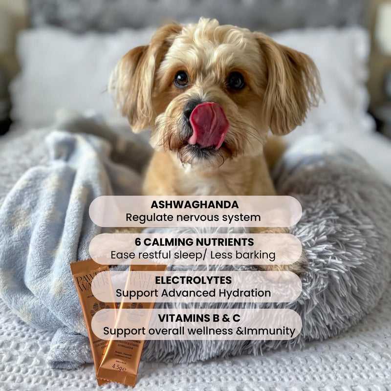 Dog Anxiety Relief & Hydration Powder – Calm Hyperactive Behavior & Relax Nervous Dogs Safely – with Natural Chamomile, Ashwagandha & Collagen (30 Day Supply) - Upto 20kg Dog Calming Pouch of 5