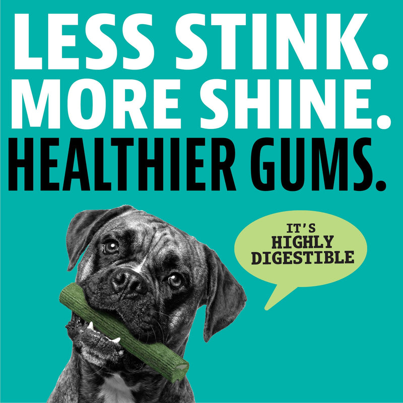 Dinovite Dental Chews for Dogs, Triple Action Dental Dog Treats for Small Breeds, Clinically Proven to Prevent Plaque & Tartar While Freshening Breath, Fresh Mint Flavor, Made in USA, 30 Count Small Dogs (15-25 lbs)