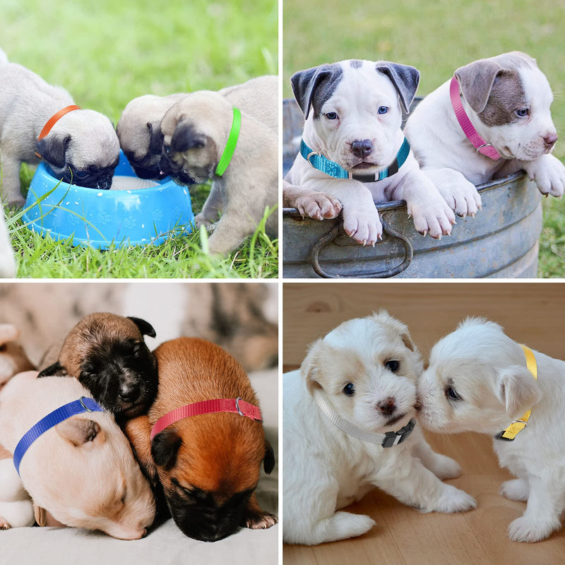 Yorgewd 12 Pack Puppy Collars, Adjustable Dog Safety ID Collars for Puppies, Small Dogs and Cats (Multicolor, 21.5-33CM) M - BeesActive Australia