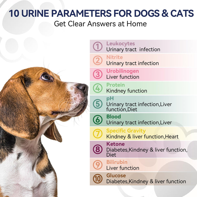 10-in-1 Cat & Dog Urine Test Strips, Cat & Dog UTI Test Kit, Pet Urinalysis Reagent Strips Diabetes, Glucose, Nitrite, Specific Gravity, pH, Protein, Leukocytes & More (60 Strips) - BeesActive Australia