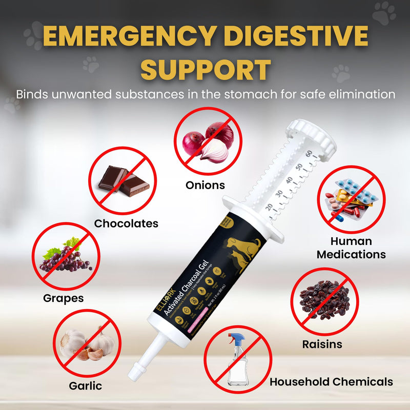 Activated Charcoal Gel for Dogs & Cats – Pet First Aid & Emergency Use, Fast-Acting Digestive & Toxin Support, Salmon Flavored Oral Syringe with Vitamin C, 60mL