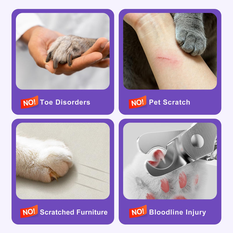Pet Nail Grinder Quiet Professional Cats Cordless Clippers Cat Claw Care Cat Grooming Clippers Cat Grooming Supplies with Charging Cable Easy to Hold Safety Guard for Small Dogs Cats White
