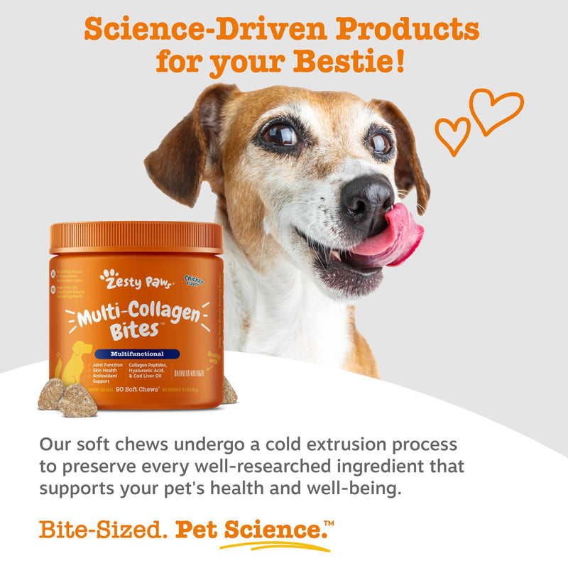 Zesty Paws Multivitamin Treats for Dogs, Glucosamine Chondroitin Joint Support + Digestive Enzymes & Probiotics, Grain Free Dog Vitamins and Supplements for Skin & Coat, Peanut Butter - 90ct Peanut Butter - 8-in-1 90 Count (Pack of 1)