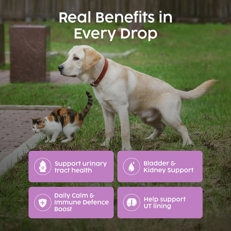 Urinary Tract Infection Treatment for Dogs & Cats - Dog UTI Treatment at Home for Kidney and Bladder Support, Herbal Supplement Drops for Prevention of Incontinence & Bladder Stones | 50ml