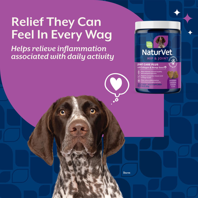 NaturVet Hemp Advanced Joint Health Dog Supplement Soft Chews –Helps Support Joint Health in Dogs – Includes Hemp Seed, Collagen, Glucosamine, MSM, Chondroitin, Omegas – 120 Ct. 120 Soft Chews natural