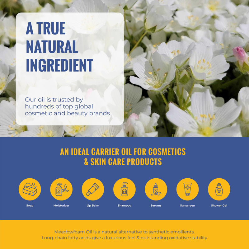 Meadowfoam Cold Pressed Oil - Natural Vitamin E, Phytosterols and Carotenoids. Deep Moisture Lock with Silky, Non-Greasy Finish for Face, Body & Hair. Direct from Sustainable Oregon Farms (16 fl oz) 16 Fl Oz (Pack of 1)