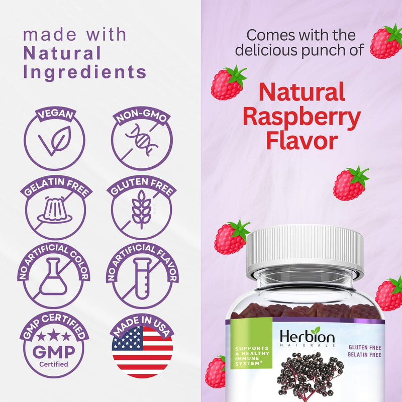 HERBION Elderberry Gummies with Vitamin C & Zinc - Healthy Immune System Support - Gluten-Free & Gelatin-Free - 60 Gummies for Adults & Children 4 Years & Above - Made in USA, 60 Count (Pack of 1) 1 Count (Pack of 1)