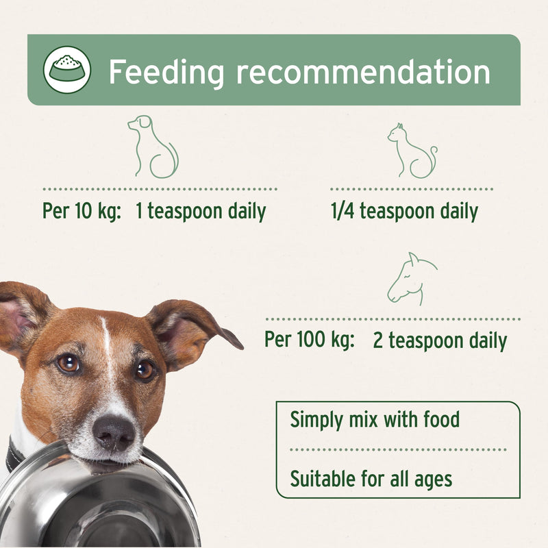 AniForte Premium Salmon Oil for Dogs, Cats, Horses & Pets 500ml - 100% Pure Natural Norwegian Fish Oil Supplement With Omega 3, 6 & EPA, DHA & ALA Fatty Acids, For Coat & Skin, Joints & Brain Health