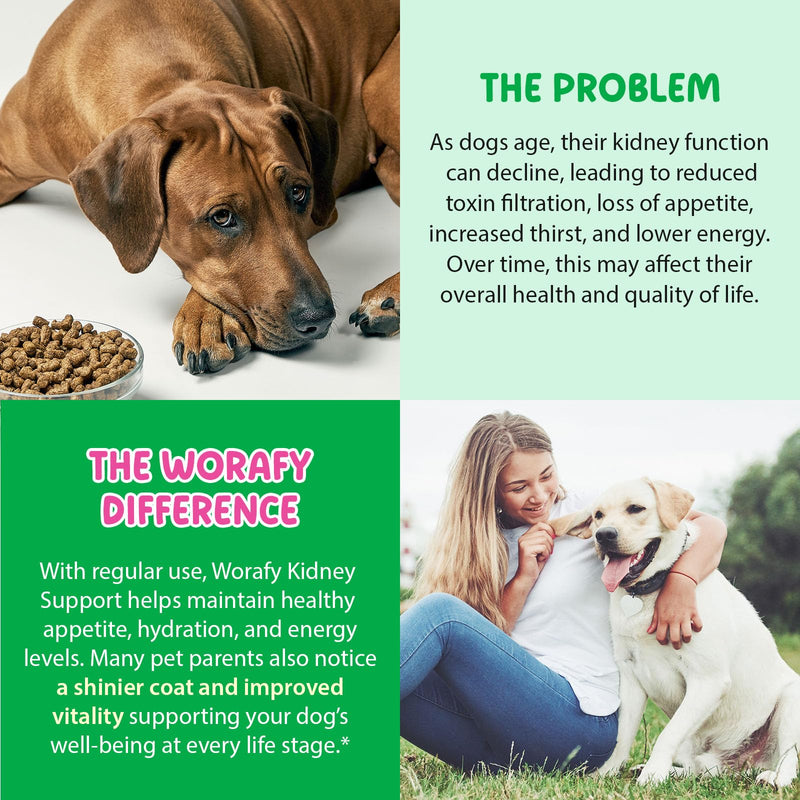 Bladder & Kidney Support for Dogs, 100% Natural Urinary Tract Treatment for Dogs 60ml, Supports Healthy Kidney Function and UTI Care Dog with Rehmannia, Immune System Booster Dog with Radix Astragali