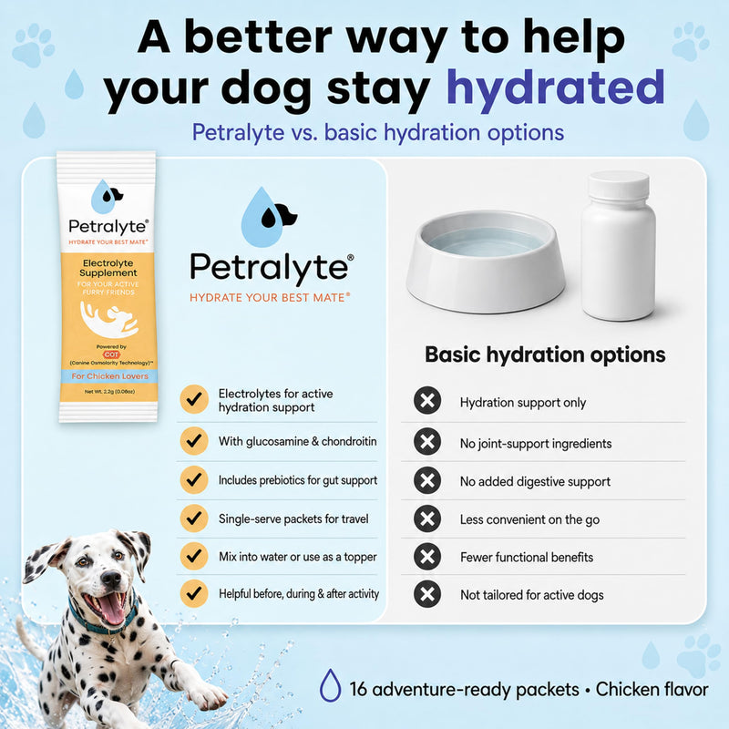 Petralyte Dog Electrolytes and Joint Supplement | Hydration Support for Dogs w/Glucosamine, Chondroitin & More | Electrolytes for Dogs with Prebiotics | for Chicken Lovers | 16 Packets 1-Pack (16 Packets)