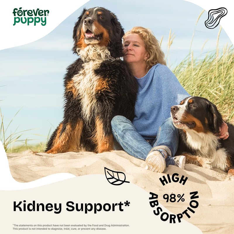 Forever Puppy Dandelion Leaf Drops for Dogs - Kidney Health Liquid Supplement for Large, Medium & Small Dogs - Kidney Cleanse Detox Drops w/Dandelion Leaves Tincture - 2 oz 2 fl oz