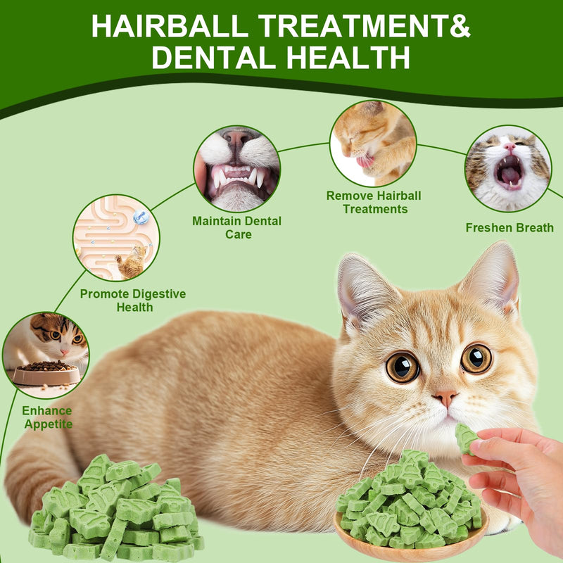 90g Cat Grass for Indoor Cats, Cat Grass Treats, Natural Freeze Dried Kitty Treats, Hairball Treatment for Cats, Edible Kitty Chew Toy Snack for Teething Hairball Removal 3.17 Ounce (Pack of 1)