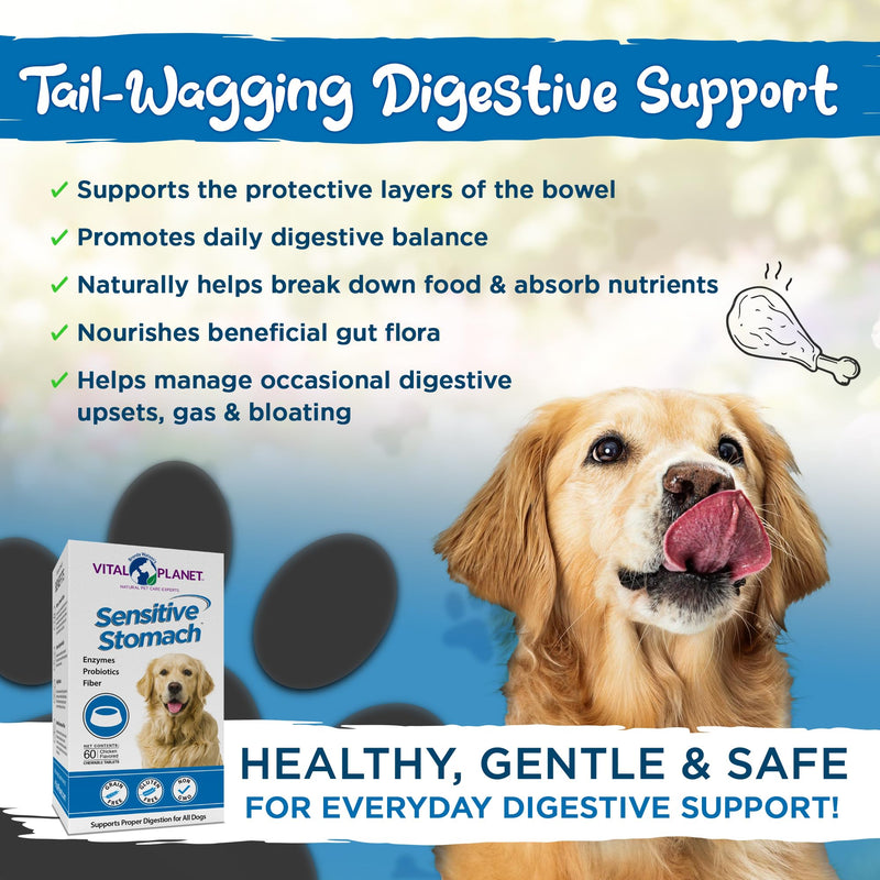 Vital Planet - Sensitive Stomach for Dogs with Enzymes, Probiotics and Fiber, Natural Digestive Support for Upset Stomach with Fennel, and Peppermint, 60 Chicken Flavored Chewable Tablets - PawsPlanet Australia