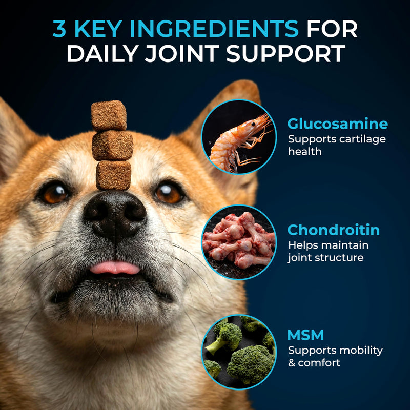 PET'S PALS Dogs Joint Health Supplement - Glucosamine, Chondroitin & MSM - Supports Healthy Joints - Chewable Tablets for Dogs - 30 Soft Chews