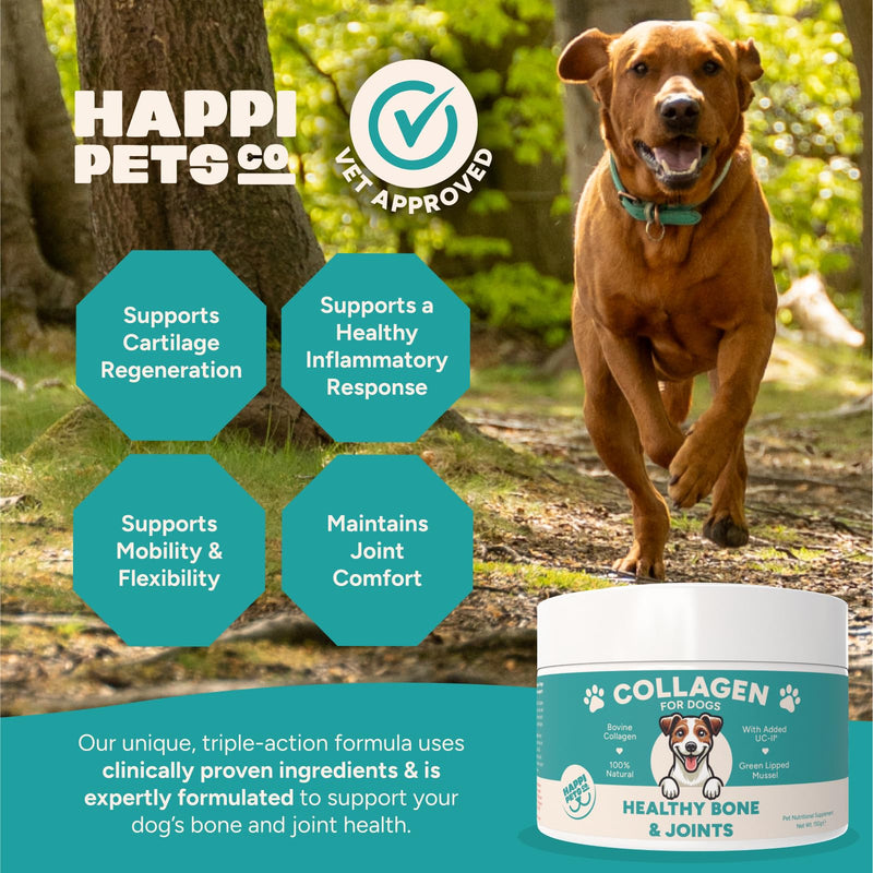 Happi Pets Collagen for Dogs Powder - Joint Supplements for Dogs - Dog Supplement with UC-11, Bovine Collagen & Green Lipped Mussel - Beef Flavoured, 150g Tub - Serving Scoop