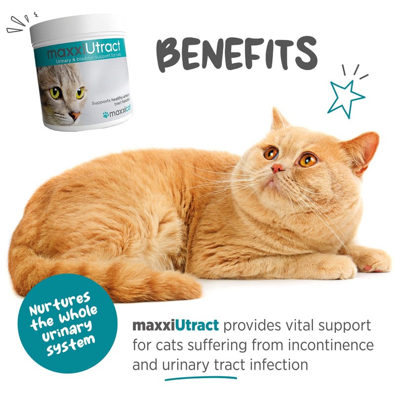 maxxipaws maxxiUtract Urinary & Bladder Support - Powder Supplement for Cats, 3.2oz 3.2 oz