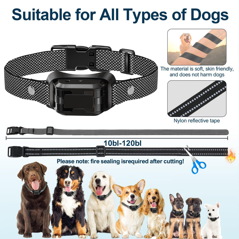 Citronella Bark Collar 2 Pack [No Citronella Refill] Citronella Dog Collar, Level 3 Sensitivity Adjustable Citronella Dog Bark Collar, Safer Anti Barking Control Spray Collar for L/M/S Dogs(2 Pack) Black-2 - BeesActive Australia